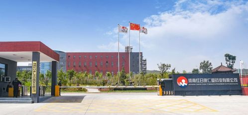 聚焦子公司 河南红日康仁堂荣获省级‘智能车间’荣誉，彰显智造实力